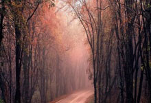 国足历届世预赛战绩如何？一路坎坷中有无高光时刻？